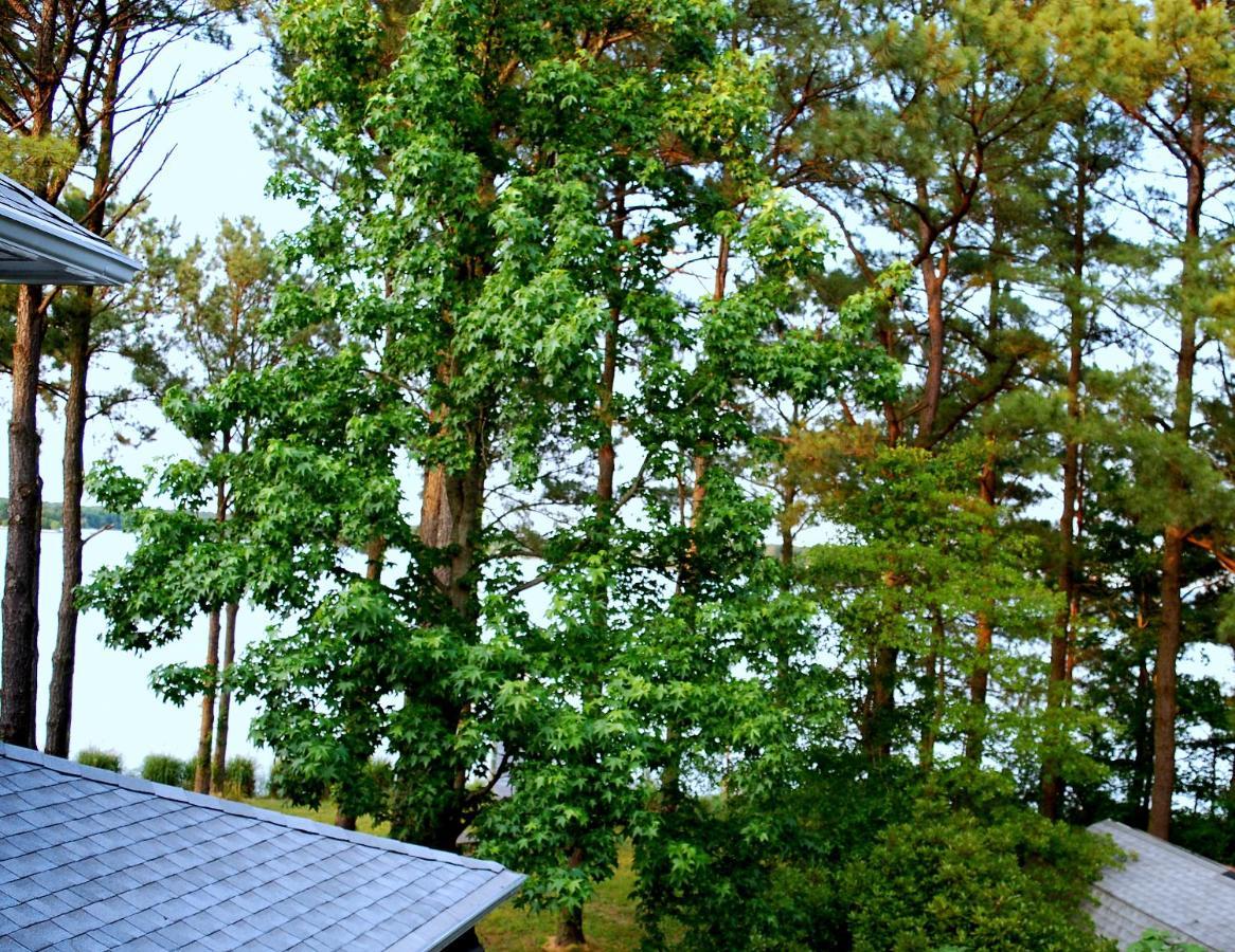 Swanendele Inn Ridge ภายนอก รูปภาพ